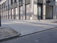 Berlin City Streets: Walking on Cobblestone