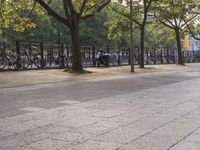 Berlin City: Urban Park in Nature