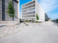 the building has a long walkway and several trees on each side of it by the road