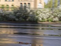 a guy walking down the street with a blue helmet and a red backpack, near a sidewalk with puddles of water