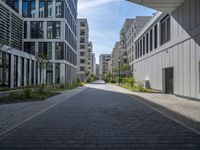 Berlin City Life: A Straight Road Through the Urban Landscape