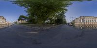 the reflection of trees on a city street as seen through a fish eye lens, a red stop sign is seen at left