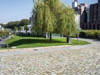 a cobbled area with lots of trees and building in the background with one person walking down a walkway to it