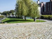 a cobbled area with lots of trees and building in the background with one person walking down a walkway to it