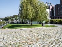 a cobbled area with lots of trees and building in the background with one person walking down a walkway to it