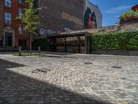 a green shrub near a gray building and a brick walkway with a bicycle rack in it