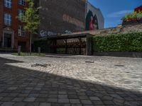 a green shrub near a gray building and a brick walkway with a bicycle rack in it