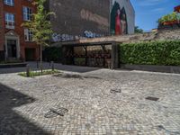 a green shrub near a gray building and a brick walkway with a bicycle rack in it