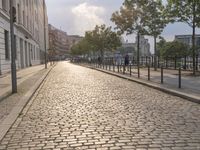 a cobblestone road and some buildings with trees and people walking on the curb