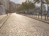 a cobblestone road and some buildings with trees and people walking on the curb