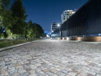 a sidewalk with cobblestones that look like stone floors at night in a european country town