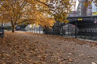 Berlin Cityscape: Water and Road