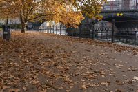 Berlin Cityscape: Water and Road