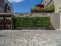 a green shrub near a gray building and a brick walkway with a bicycle rack in it