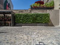 a green shrub near a gray building and a brick walkway with a bicycle rack in it