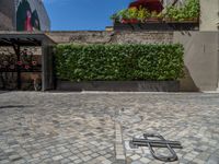 a green shrub near a gray building and a brick walkway with a bicycle rack in it