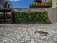 a green shrub near a gray building and a brick walkway with a bicycle rack in it