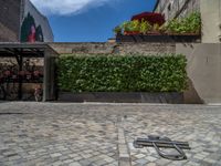 a green shrub near a gray building and a brick walkway with a bicycle rack in it