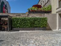 a green shrub near a gray building and a brick walkway with a bicycle rack in it