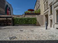 a green shrub near a gray building and a brick walkway with a bicycle rack in it