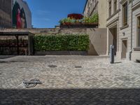 a green shrub near a gray building and a brick walkway with a bicycle rack in it