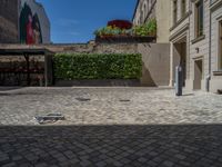 a green shrub near a gray building and a brick walkway with a bicycle rack in it