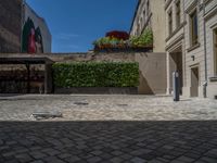 a green shrub near a gray building and a brick walkway with a bicycle rack in it