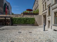 a green shrub near a gray building and a brick walkway with a bicycle rack in it