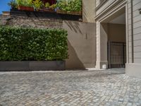 a green shrub near a gray building and a brick walkway with a bicycle rack in it