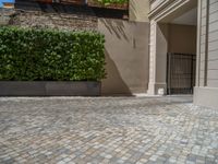 a green shrub near a gray building and a brick walkway with a bicycle rack in it