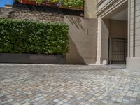 a green shrub near a gray building and a brick walkway with a bicycle rack in it