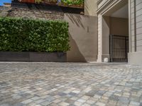 a green shrub near a gray building and a brick walkway with a bicycle rack in it