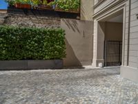 a green shrub near a gray building and a brick walkway with a bicycle rack in it