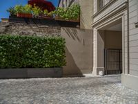 a green shrub near a gray building and a brick walkway with a bicycle rack in it