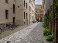 a city street with many bicycles parked on the side walk outside of buildings and trees