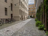 a city street with many bicycles parked on the side walk outside of buildings and trees