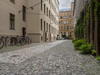 a city street with many bicycles parked on the side walk outside of buildings and trees