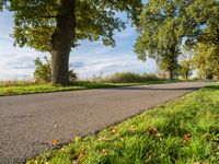 a paved country road next to large trees and grassy field with grass in the middle