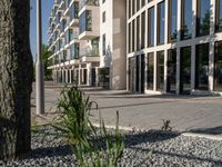 the building is surrounded by many glass panels in the courtyard, and has brick paving in the front