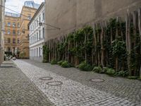 an alley way with a cobblestone and trees lining the sides of it and a sidewalk with benches