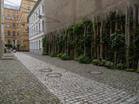 an alley way with a cobblestone and trees lining the sides of it and a sidewalk with benches