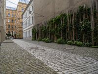 an alley way with a cobblestone and trees lining the sides of it and a sidewalk with benches