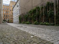 an alley way with a cobblestone and trees lining the sides of it and a sidewalk with benches