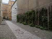 an alley way with a cobblestone and trees lining the sides of it and a sidewalk with benches