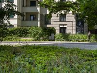 a man riding a skateboard down the street next to bushes and trees with apartment buildings