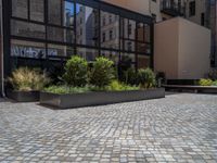 several plants sit in decorative concrete planters along the sidewalk of a building that is very modern