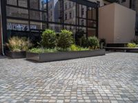 several plants sit in decorative concrete planters along the sidewalk of a building that is very modern