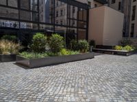 several plants sit in decorative concrete planters along the sidewalk of a building that is very modern