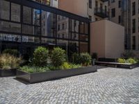 several plants sit in decorative concrete planters along the sidewalk of a building that is very modern