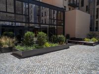 several plants sit in decorative concrete planters along the sidewalk of a building that is very modern